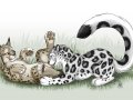 1287832982.tanidareal_sketch-colored_athari-1.jpg